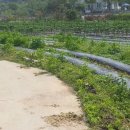 금호랜드공인중개사사무소 이미지