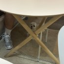 펫츠까까 이미지