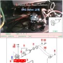 신호카클리닉 이미지
