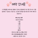 수수펫살롱 네이버블로그