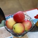 유기농장 이미지