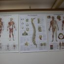 건강우리지압원 이미지