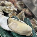 천북집 | 보령 굴축제 천북굴단지 굴구이 굴찜 &#39; 굴마을 &#39; 솔직후기