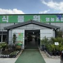 경남낙우회영농조합법인 | 경남 최대 규모 화훼단지 동창원식물원영농조합 방문후기