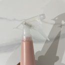 하이멍냥 강아지분양 고양이분양 서울본점 네이버블로그