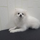 무브멍트 이미지