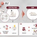 코로나 앓고 난 뒤 "또 깜빡했네"…'기억력 저하' 이것 때문이었다 이미지