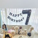 바둑이연구소 네이버블로그