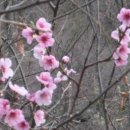 운암초등학교 앞 이미지