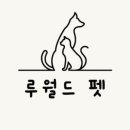 월드펫 이미지