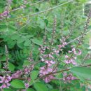 개포3-106 이미지