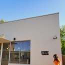 아이보리 타이거 이미지