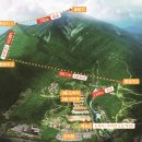 하동코리아짚와이어 이미지