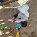 송이조각공원 화장실 이미지