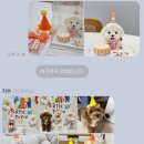 댕댕바게트 이미지