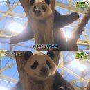 콘서트노래방 이미지