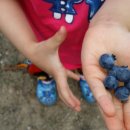 외포농장 이미지