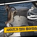 쭈꾸미꾸미 이미지