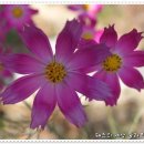 우드힐펜션 이미지