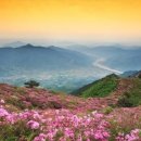 지리산 - 부천시 소사구 은성로 40 | 지리산
