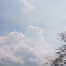 형제건강원 이미지