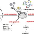 Re: 소변유래 줄기세포 탐구! ! 2022 이미지