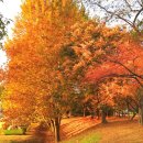 상상농장3 이미지