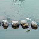 징검다리 - 관악구 | 징검다리