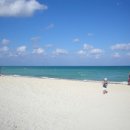 카리브해 이미지