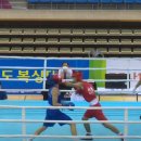 YS복싱클럽 이미지