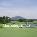 D.S모터스 이미지