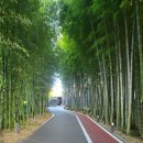 대자연농원 | 내돈내산 순천시 닭구이 맛집 대숲골농원