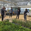 세종특별자치시농업기술센터 이미지