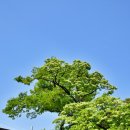 동광종합카센타 이미지