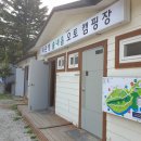 던킨도넛츠강릉