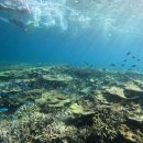 돈키호테 발전소 | 미야코지마 여행(2) - 야비지 투어