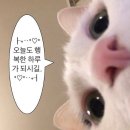 해성막창집기장일광점 | 부산 여행 그리고 경주 여행