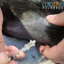 경동동물병원 이미지