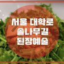 솔나무 이미지