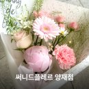 써니문구 - 서초구 반포대로 222 | 24시 양재역꽃집 추천 핀터레스트 감성 꽃다발 써니드플레르 후기
