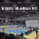 아이조은태권도 | 딸아이 태권도 1품 승품심사 후기!국기원 첫 시험, 엄마는 더 긴장