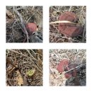 자연과 하루 이미지