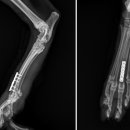 탑(TOP)메디칼 이미지