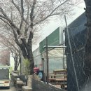 초록사파리_크레팜