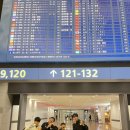 대원 명문 태권도장 이미지