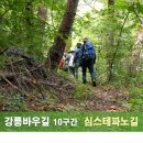 (2-2) 강릉바우길 10구간, 심스테파노길 이미지