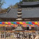 공주-14 | 공주 마곡사 [2] / 2026.04