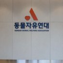 하이독 이미지