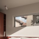 일일시호 이미지