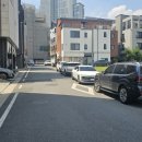 파충류샵알파 | 전용 주차장이 있는 대구 파충류샵 크레산도 [공사 후기]